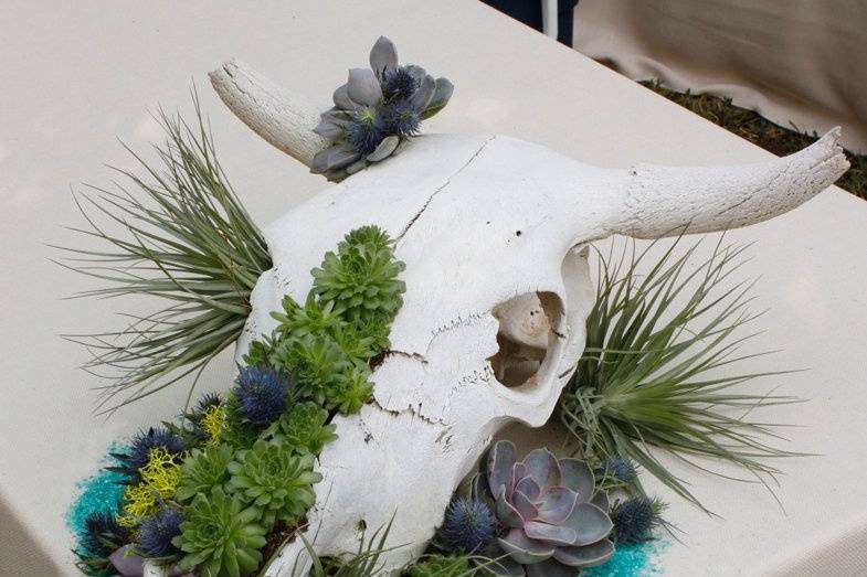 Rustic bar centerpiece with cow skull, succulents, and tillandsias. Photo by Katherine O'Brien.