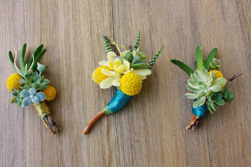 Trio of succulent boutonnieres.