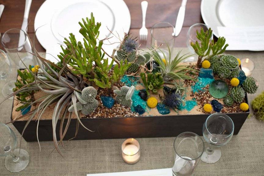 Succulent centerpieces. Photo by Katherine O'Brien.