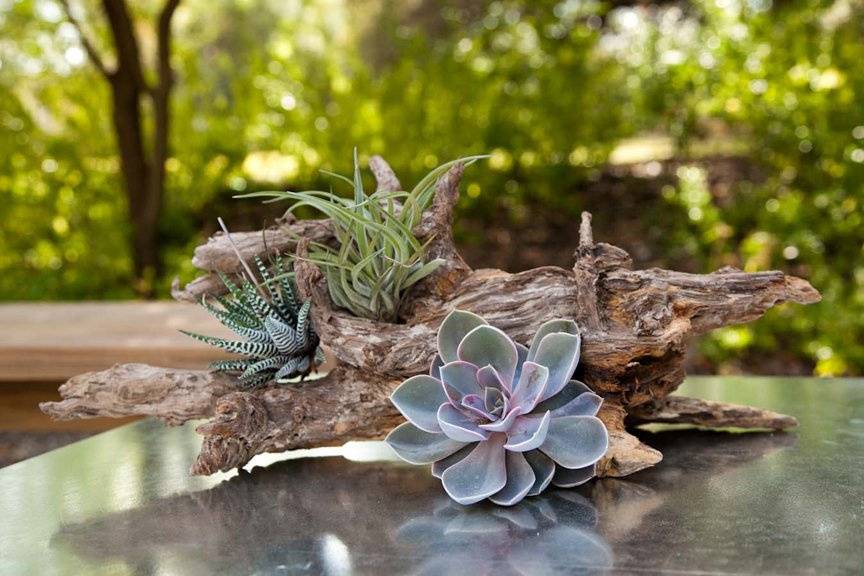 Rustic but elegant cocktail table centerpiece.Photo by Katherine O'Brien.