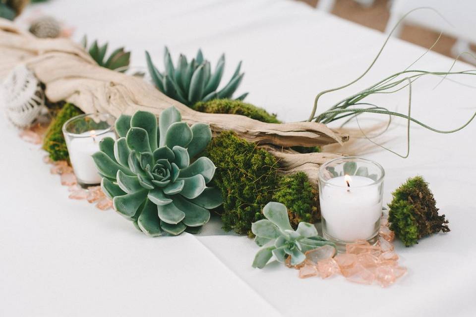 Succulent and driftwood table runner. Photo by Nathan Russell Photo.