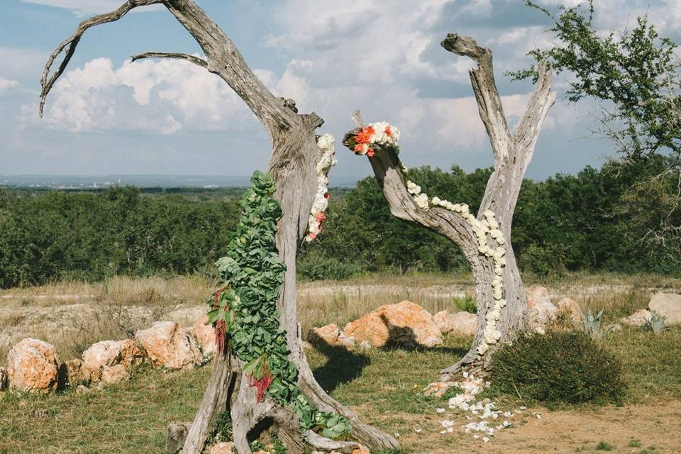 Creative ceremony piece at outdoor wedding in Austin, Texas.