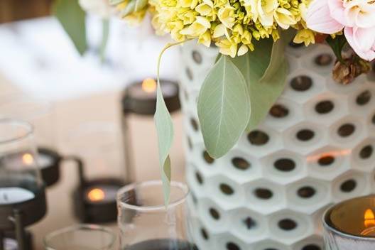 Succulent centerpiece at outdoor wedding in Austin, Texas.Photo by Jake Holt Photography.