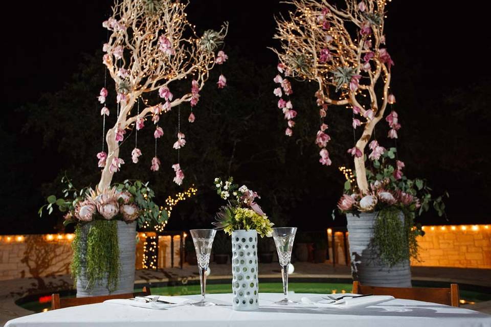 Bride and groom table with hanging orchid backdrop. Outdoor wedding in Austin, Texas.Photo by Jake Holt Photography.