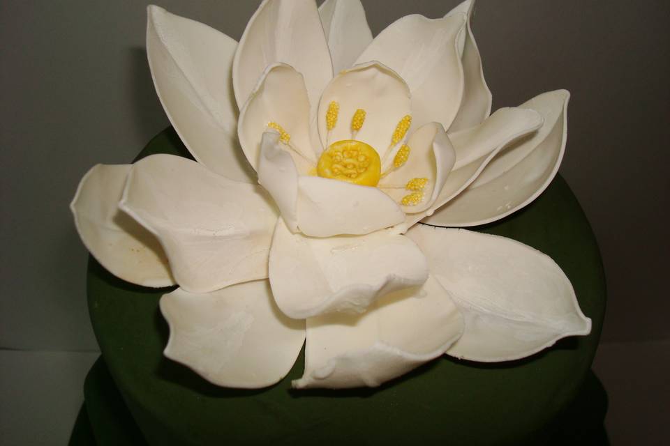 Lotus inspired cake