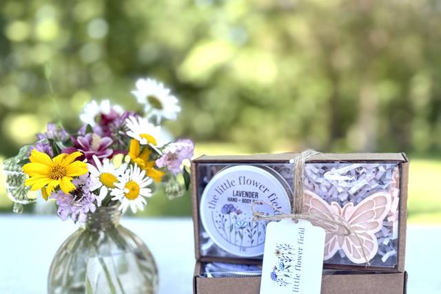 Butterfly Garden Gift Set