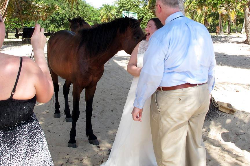 The Exceptional Wedding