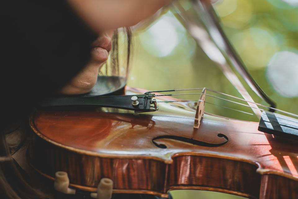 Oak Wedding Music Experience