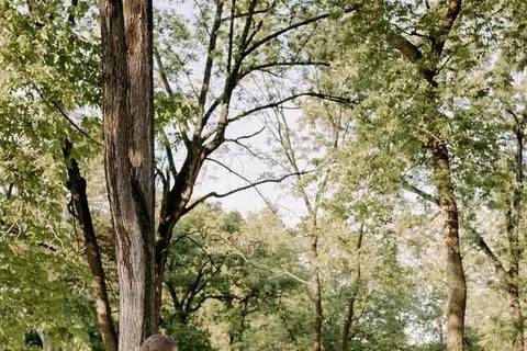 Outdoor scene