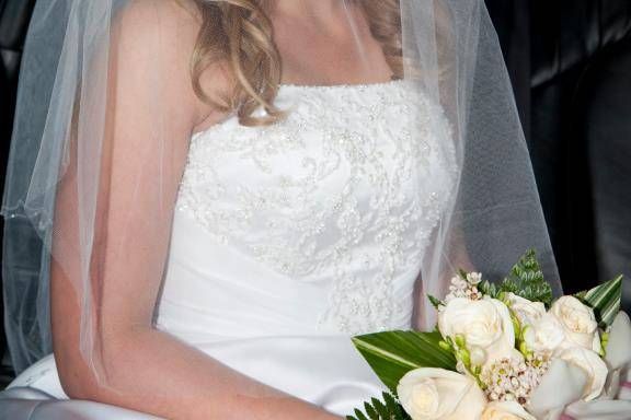 Bride in veil