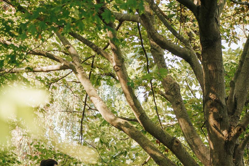 Morton Arboretum