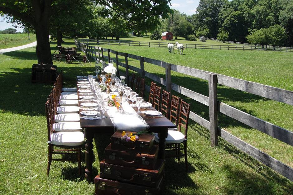 Long table setting