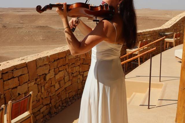 Carmit Violin
