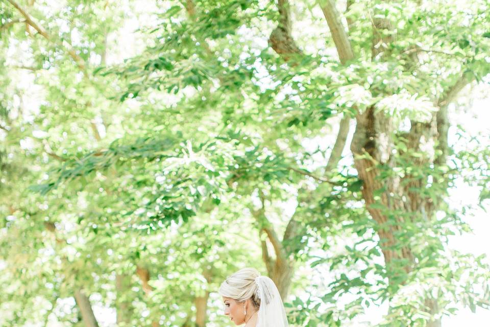 Bride's portrait