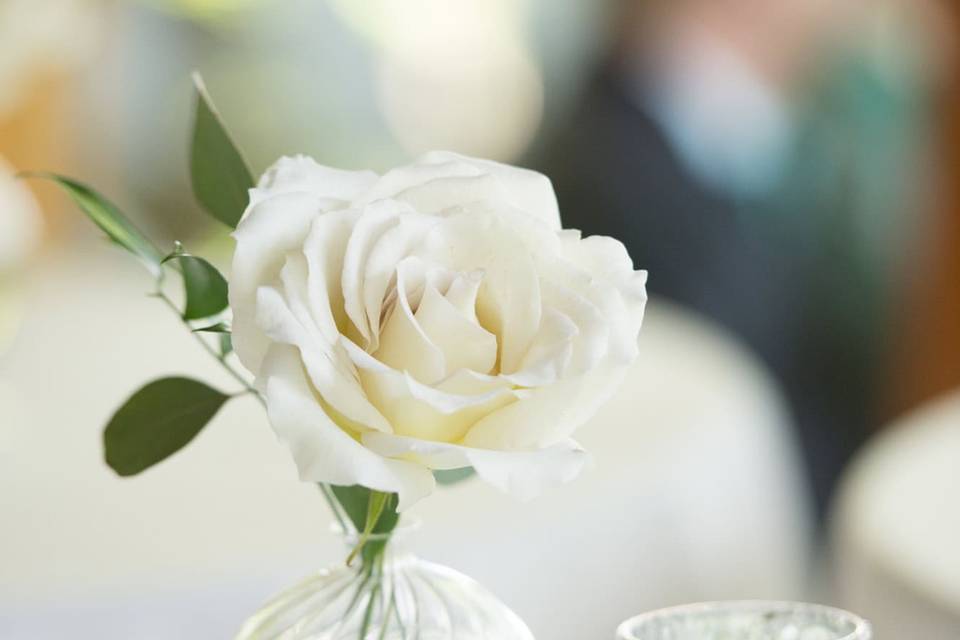 Jenna Rose Photography