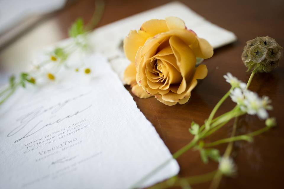 Jenna Rose Photography