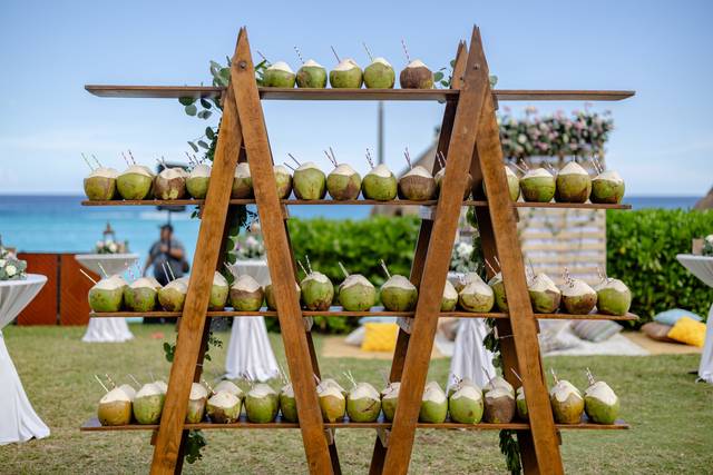 Coconuts Station