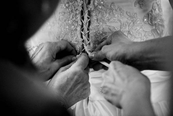 cindy johnson photography