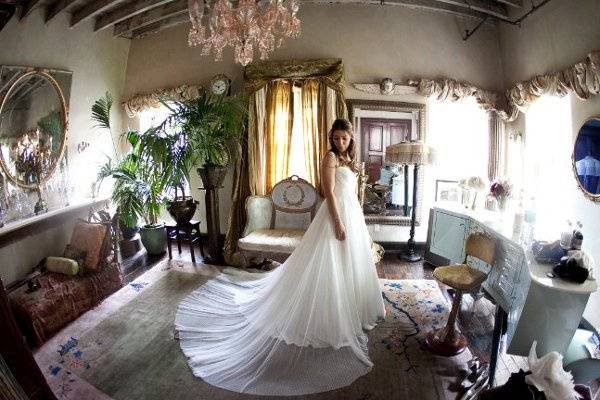 cindy johnson photography
