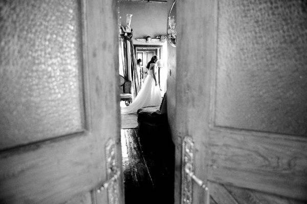 cindy johnson photography