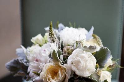 cindy johnson photography