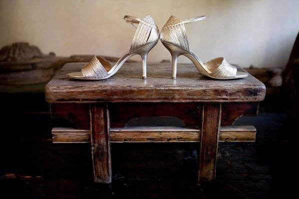 cindy johnson photography