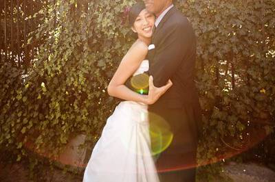 cindy johnson photography