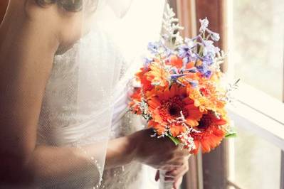 cindy johnson photography