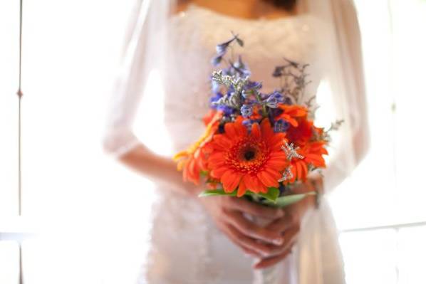 cindy johnson photography