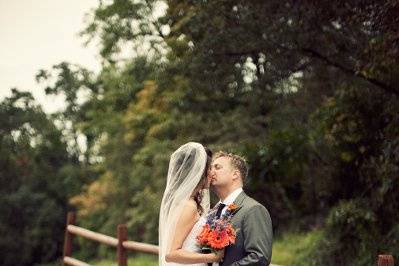 cindy johnson photography
