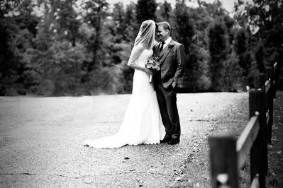 cindy johnson photography