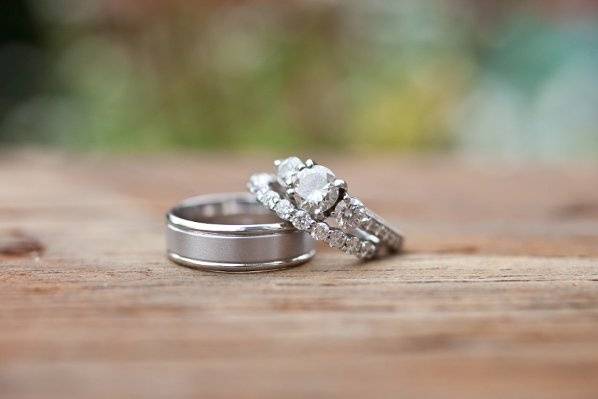 cindy johnson photography