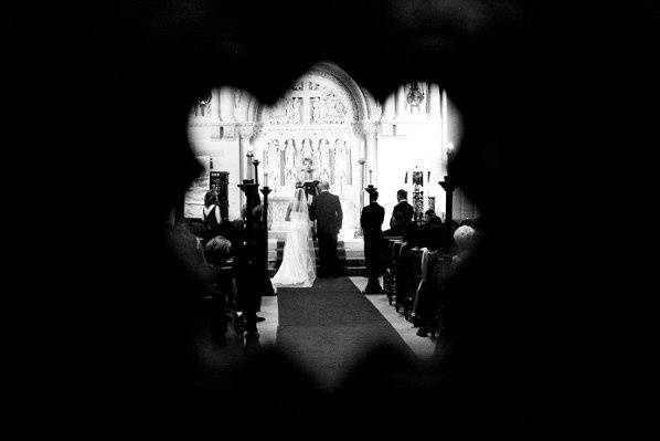 cindy johnson photography