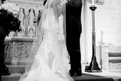 cindy johnson photography