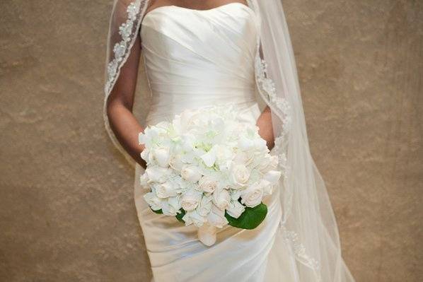 cindy johnson photography