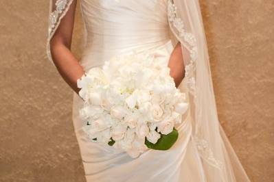 cindy johnson photography