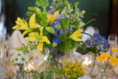 cindy johnson photography