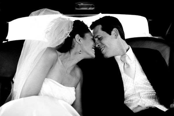 cindy johnson photography