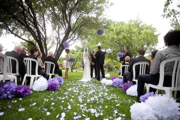 cindy johnson photography