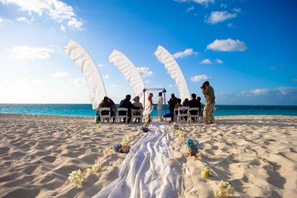 cindy johnson photography
