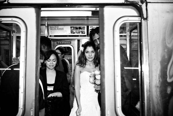 cindy johnson photography