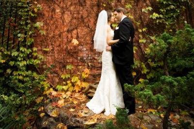 cindy johnson photography