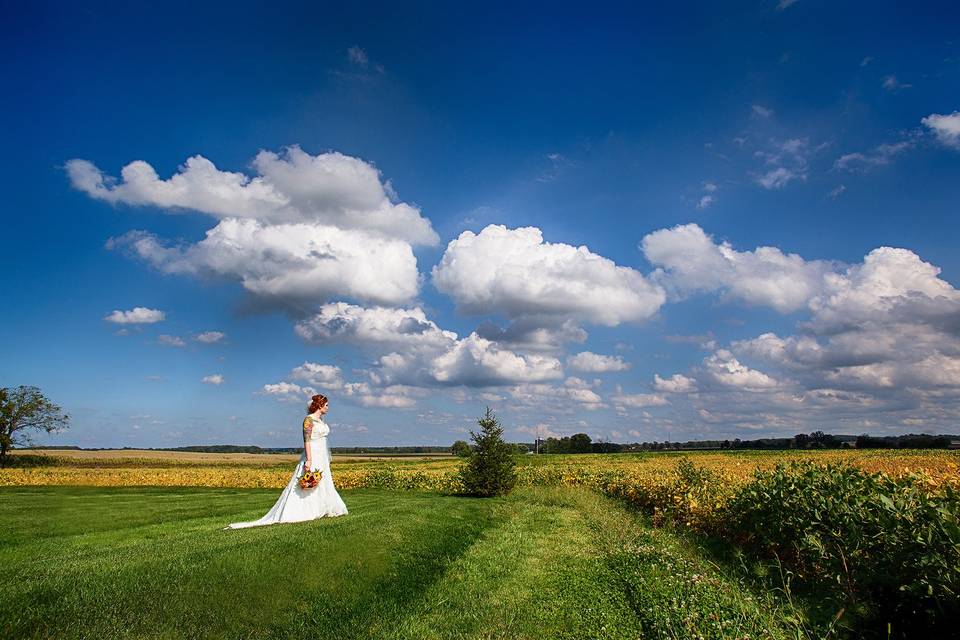 Bride Country Field Sunny Day