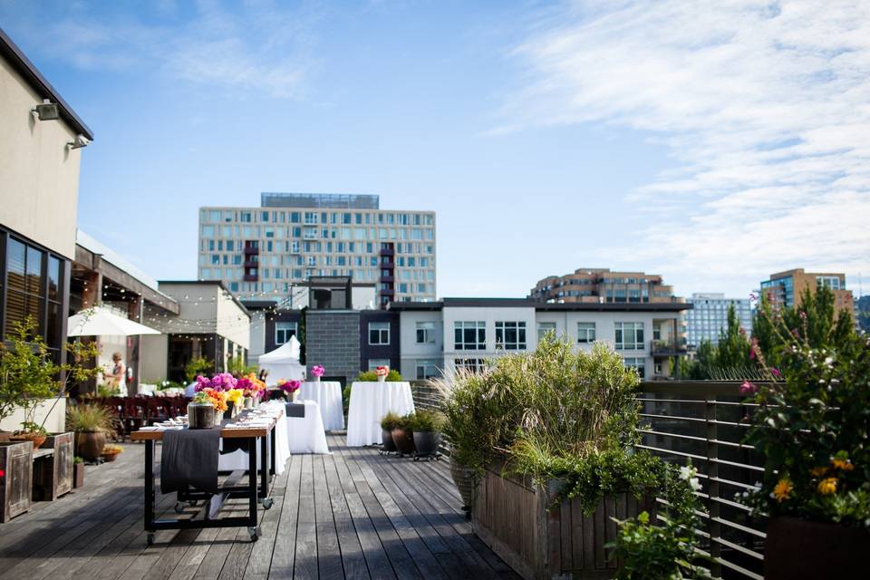 Rooftop Terrace