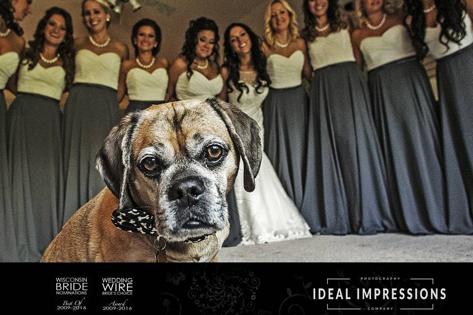 Ideal Impressions Photography