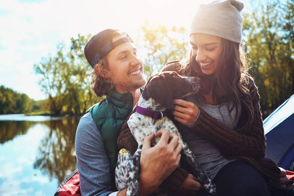Couple_and_dog.png