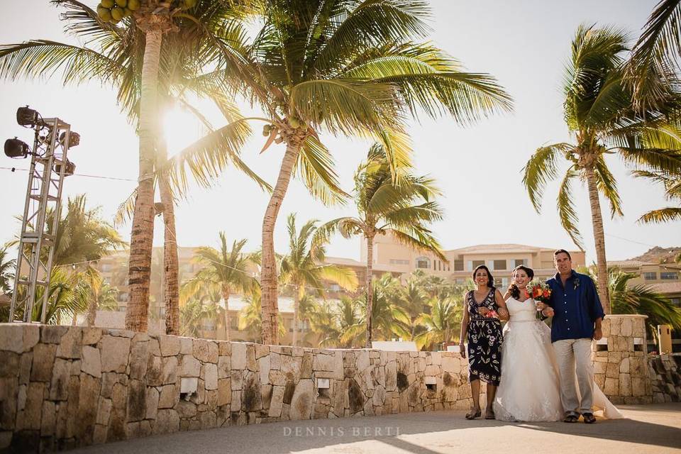 Cabo Wedding Services