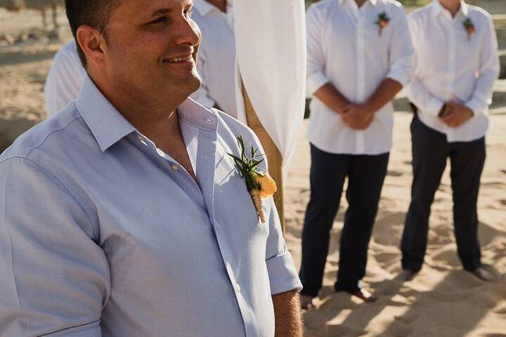Cabo Wedding Services