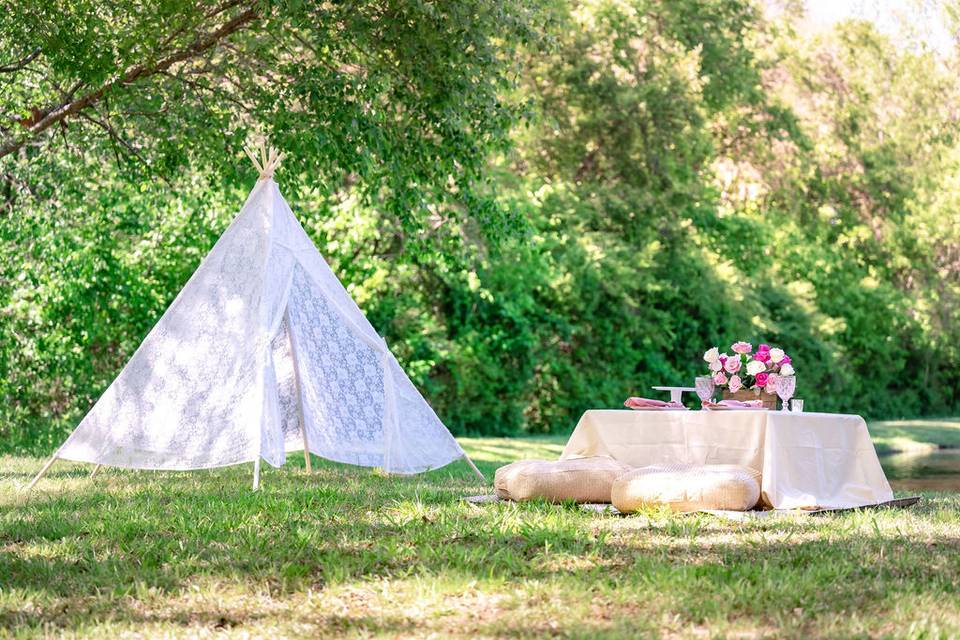 Picnic Proposal