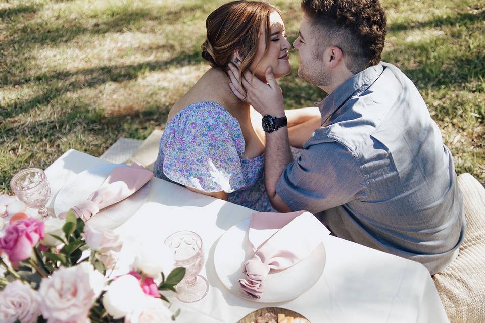 Picnic Proposal